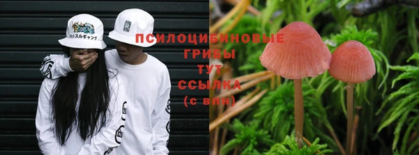 прущая мука Ладушкин
