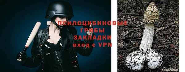 мет Лагань