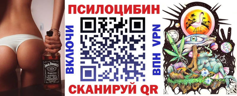 хочу   Екатеринбург  Псилоцибиновые грибы MAGIC MUSHROOMS 