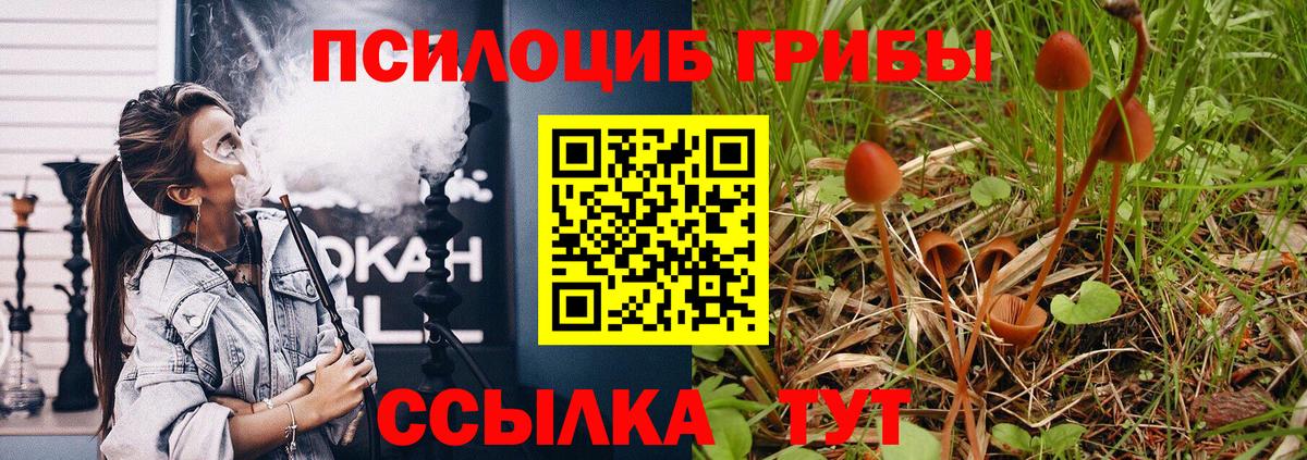 Псилоцибиновые грибы ЛСД  Псилоцибиновые грибы Magic Shrooms  Екатеринбург  Вход с VPN 