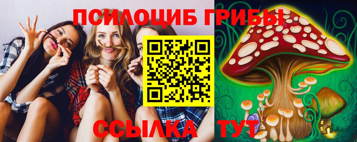 Галлюциногенные грибы Psilocybe  Екатеринбург 