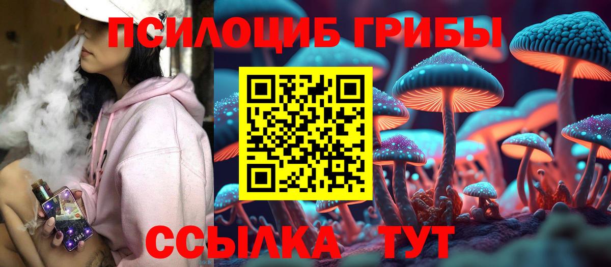 Галлюциногенные грибы GOLDEN TEACHER Екатеринбург